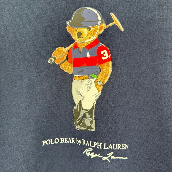 Polo Ralph Lauren Polo Bear Sweat Pull Hoodie Color Block Fleece Lining medium - Picture 2 of 8